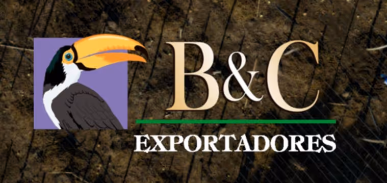 BC Exportadores del Valle de Ujarras S.A.